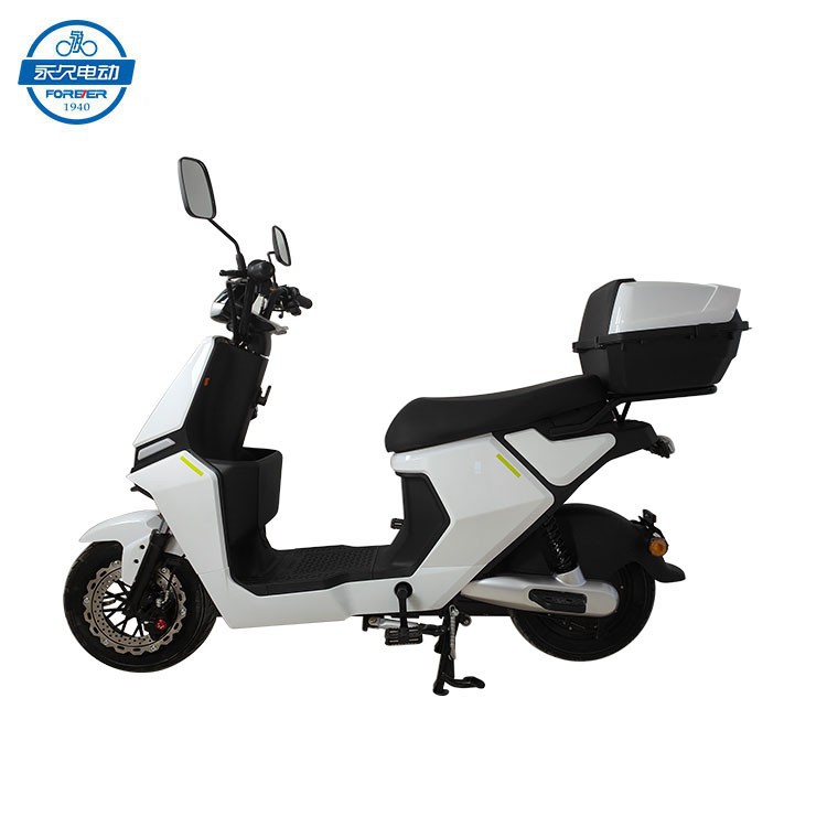 Electric Adult Motorcycle